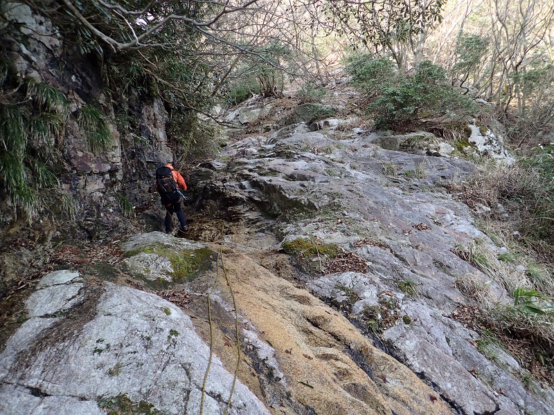 f:id:ikuyayuuki:20200421231535j:plain f:id:ikuyayuuki:20200421231535j:plain