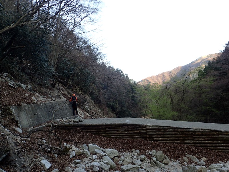 f:id:ikuyayuuki:20200421231553j:plain f:id:ikuyayuuki:20200421231553j:plain