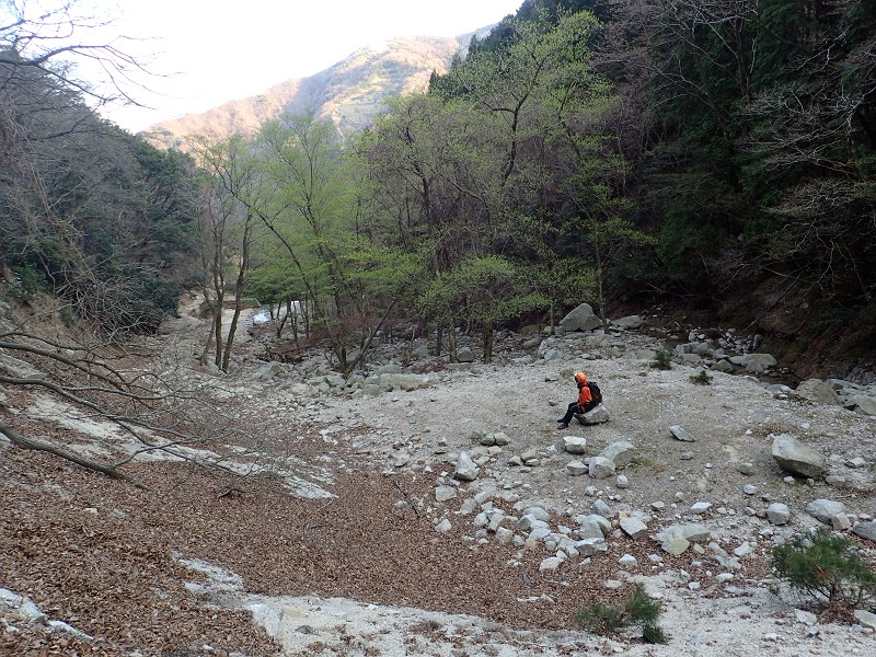 f:id:ikuyayuuki:20200421231557j:plain f:id:ikuyayuuki:20200421231557j:plain