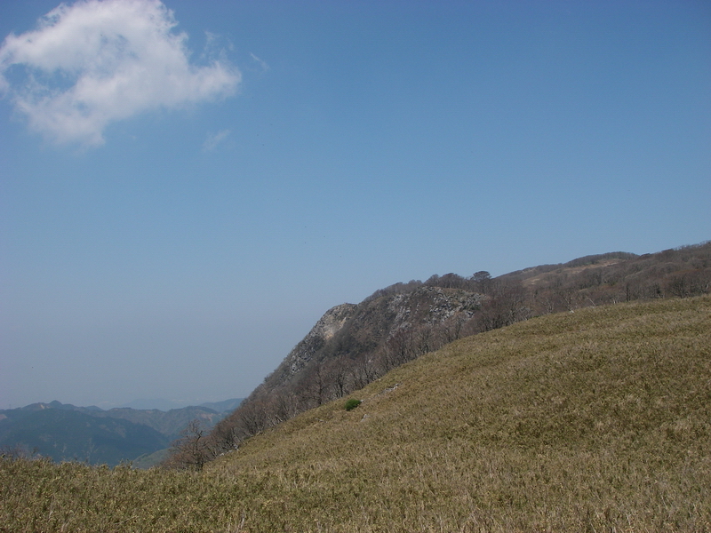 f:id:ikuyayuuki:20200515110133j:plain