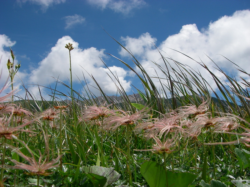 f:id:ikuyayuuki:20200814163705j:plain f:id:ikuyayuuki:20200814163705j:plain