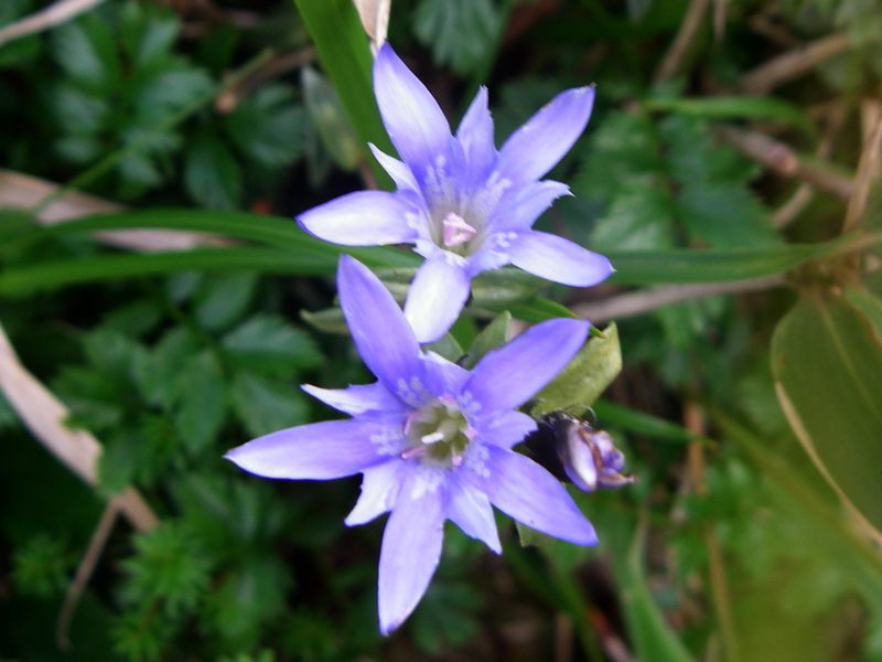 f:id:ikuyayuuki:20200814163831j:plain f:id:ikuyayuuki:20200814163831j:plain