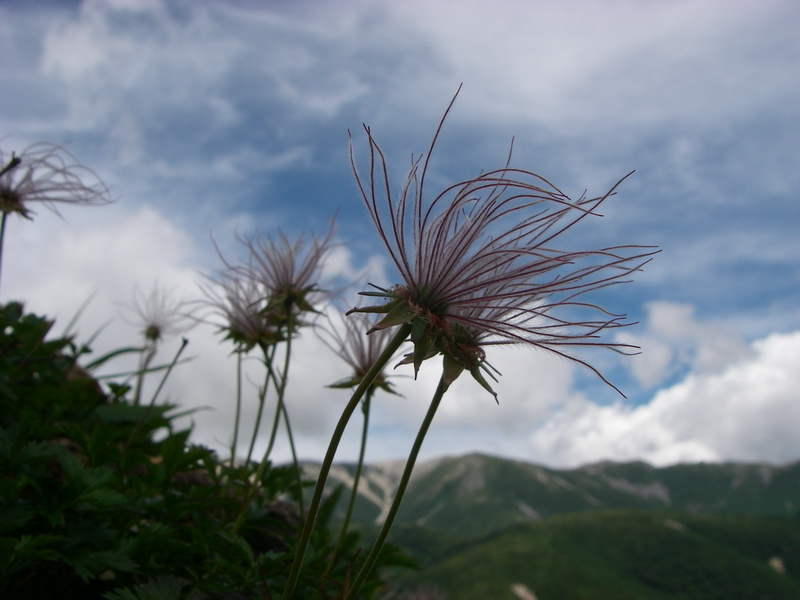 f:id:ikuyayuuki:20200814163837j:plain f:id:ikuyayuuki:20200814163837j:plain