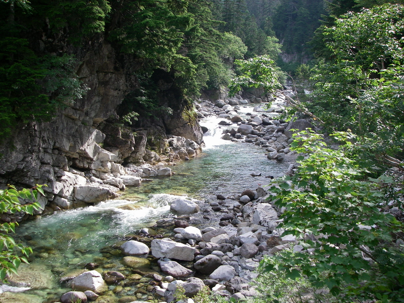 f:id:ikuyayuuki:20200814163931j:plain f:id:ikuyayuuki:20200814163931j:plain