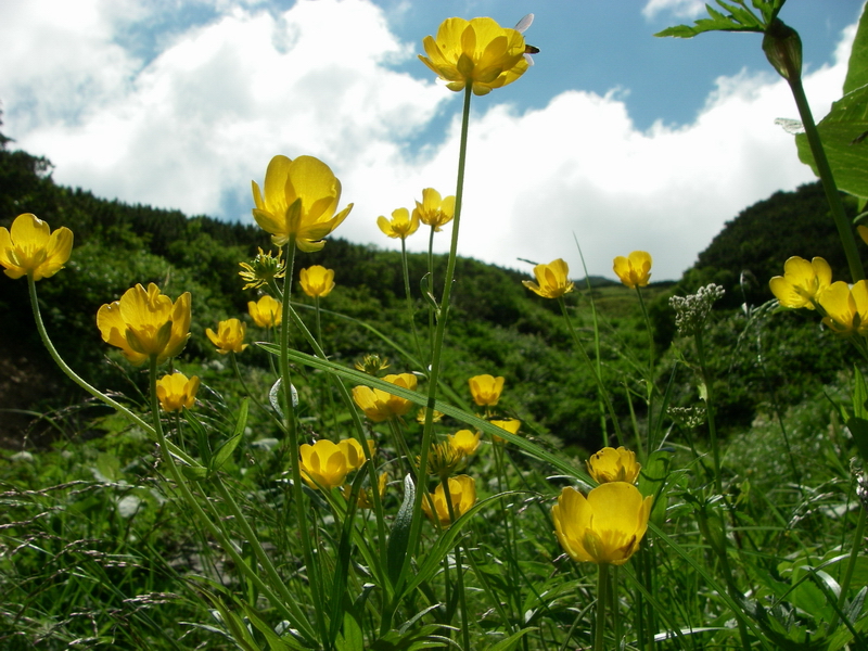 f:id:ikuyayuuki:20200814164338j:plain f:id:ikuyayuuki:20200814164338j:plain