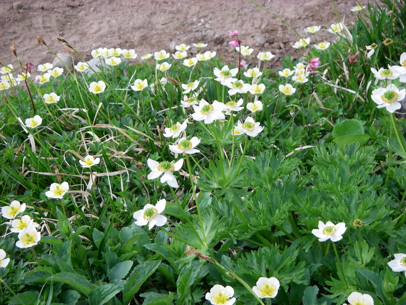 f:id:ikuyayuuki:20200814164429j:plain f:id:ikuyayuuki:20200814164429j:plain