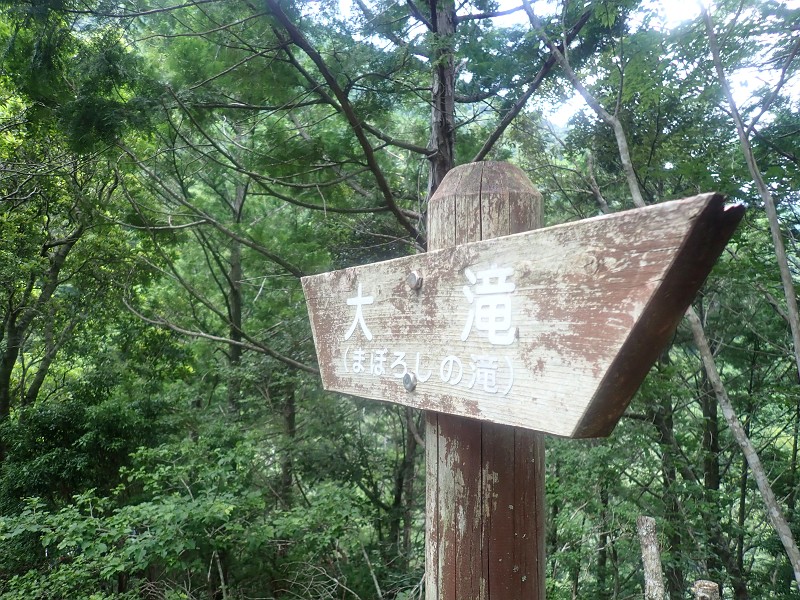 f:id:ikuyayuuki:20200827231503j:plain