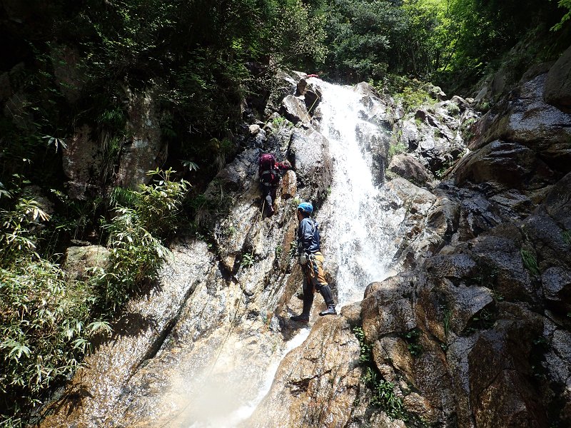 f:id:ikuyayuuki:20210618153330j:plain