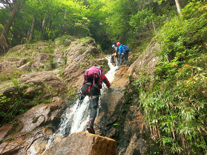 f:id:ikuyayuuki:20210618153339j:plain