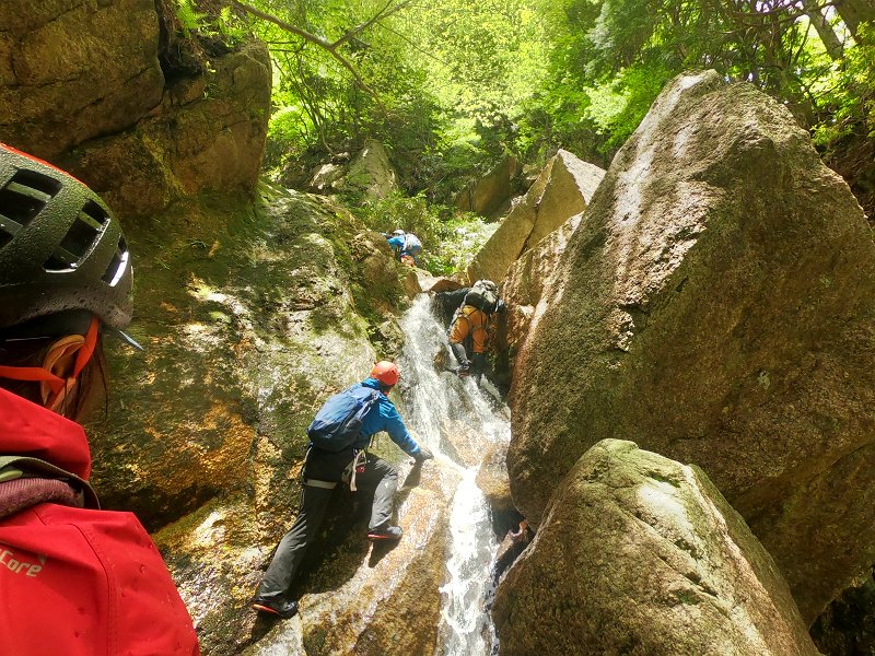 f:id:ikuyayuuki:20210618153345j:plain