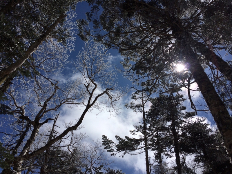 f:id:ikuzou:20160321110741j:image:w360