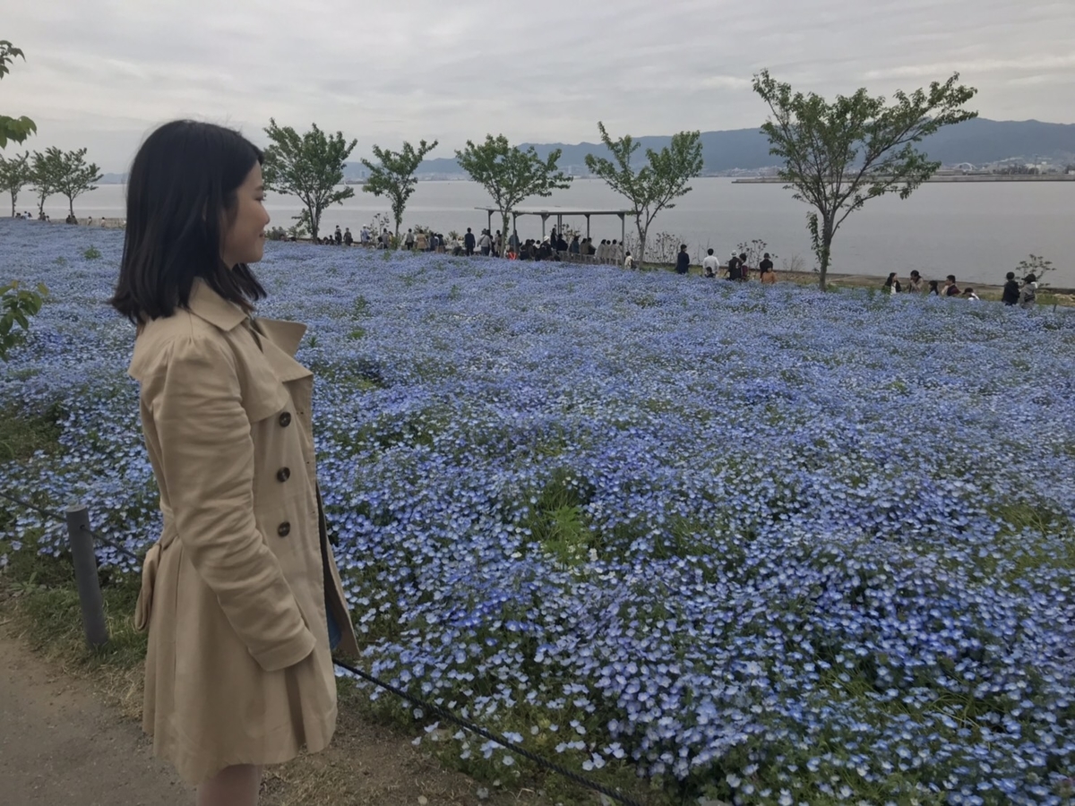 f:id:ikxx7t:20190502220108j:plain