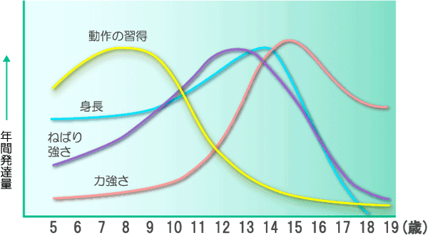 子どもの運動能力の年間発達量の推移のグラフ