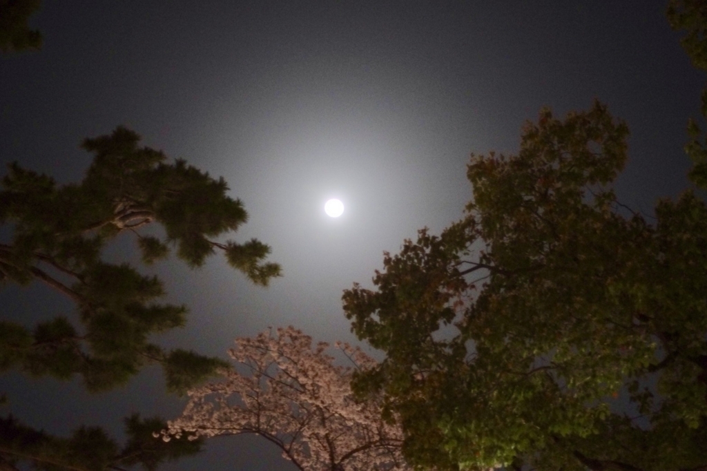 f:id:ilandbluemini:20180405161551j:plain f:id:ilandbluemini:20180405161551j:plain