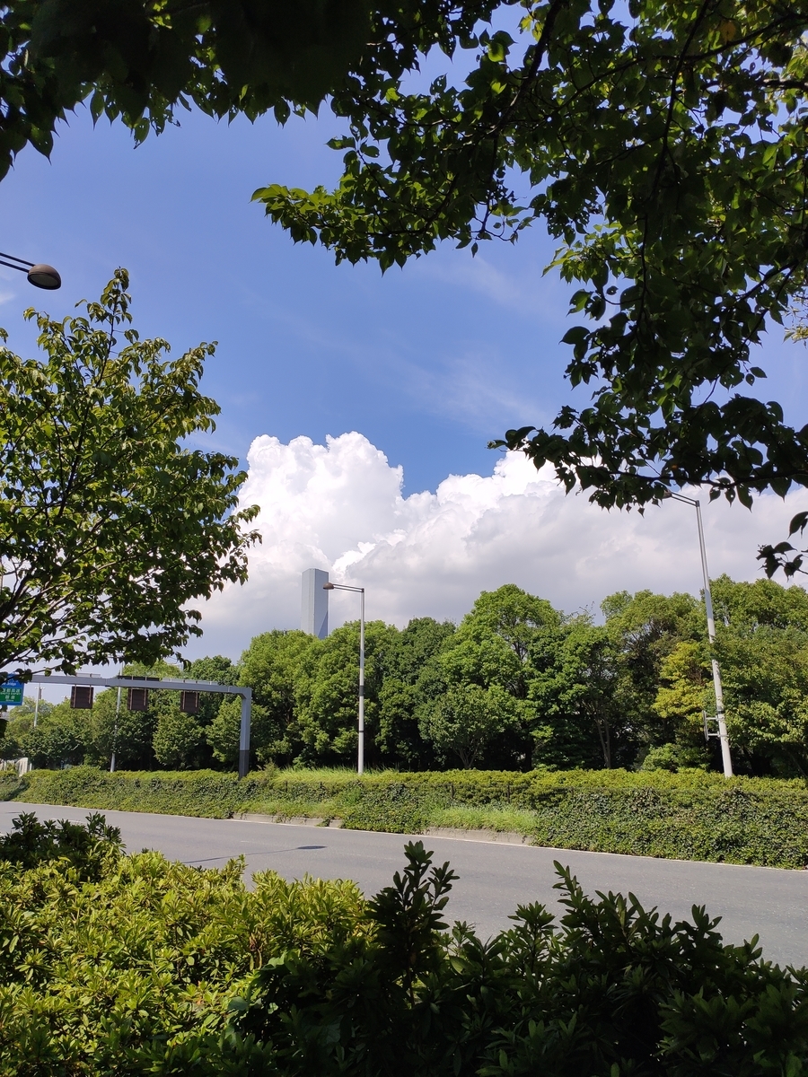 f:id:ililililili:20190813214158j:plain f:id:ililililili:20190813214158j:plain