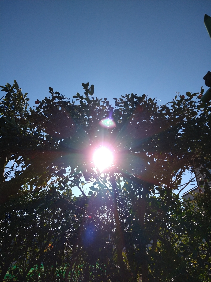 f:id:iliride:20220108123235j:plain