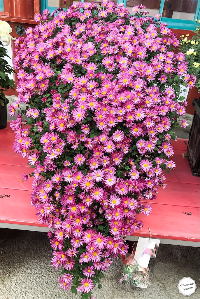 f:id:illust_and_meda0301:20191113113430j:image