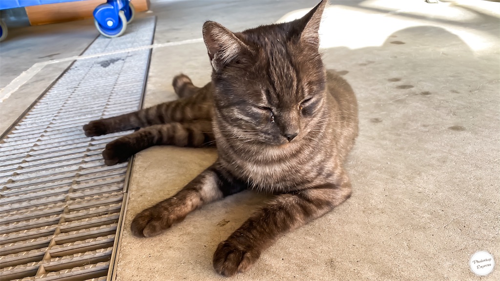 f:id:illust_and_meda0301:20191122114037j:image