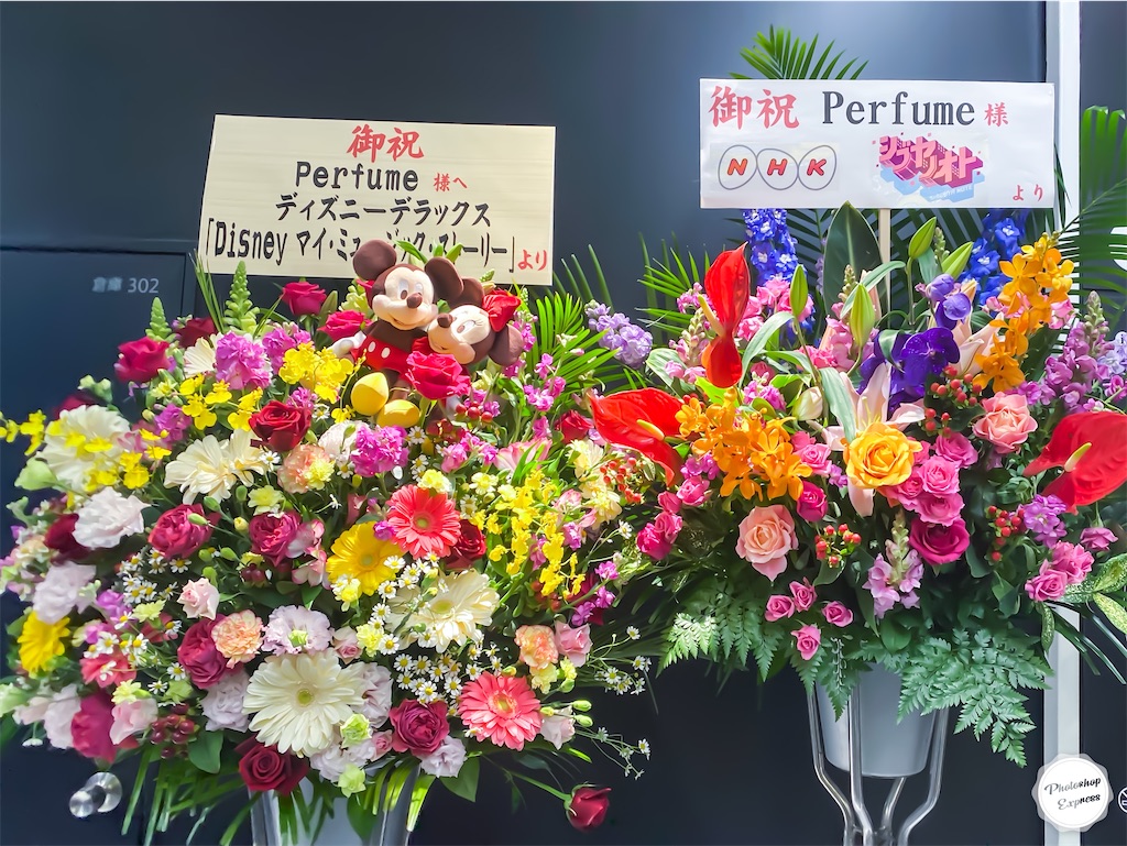 Perfume 2月8日 ペイペイドーム チケット 2枚