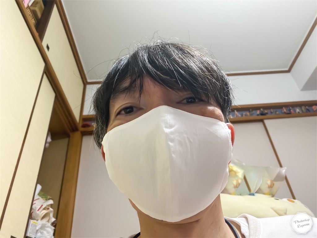 f:id:illust_and_meda0301:20200529075235j:image