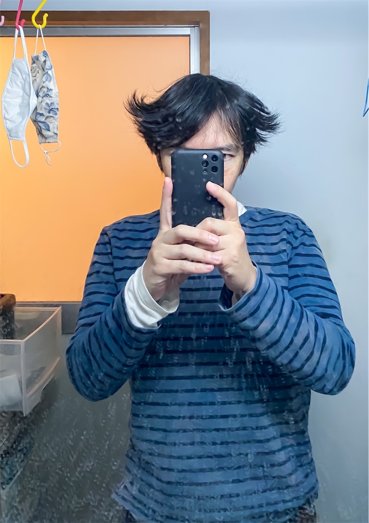 f:id:illust_and_meda0301:20201202174727j:image f:id:illust_and_meda0301:20201202174727j:image