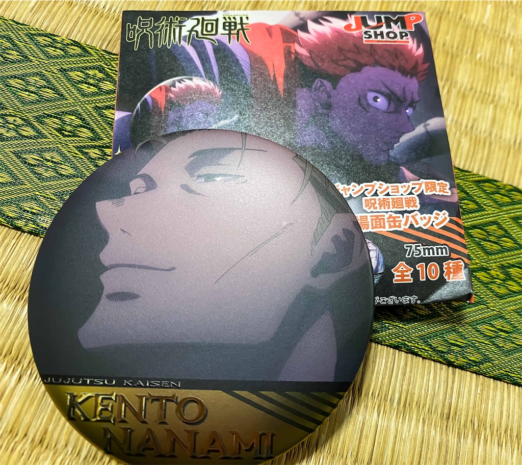 f:id:illust_and_meda0301:20210507131112j:image