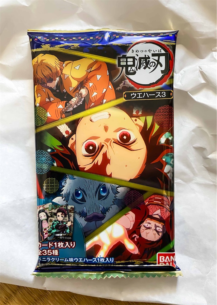 f:id:illust_and_meda0301:20210615134458j:image