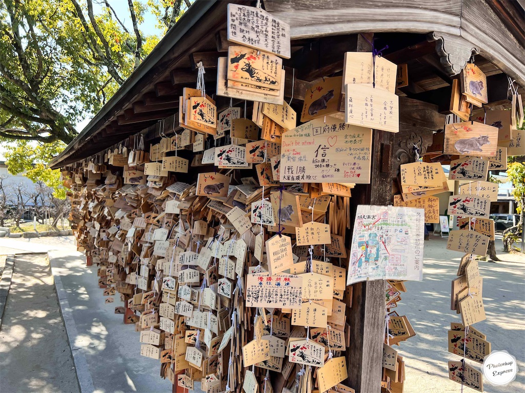 f:id:illust_and_meda0301:20211129172417j:image