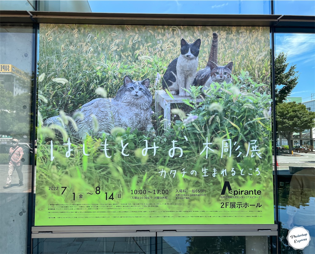 f:id:illust_and_meda0301:20220726073543j:image