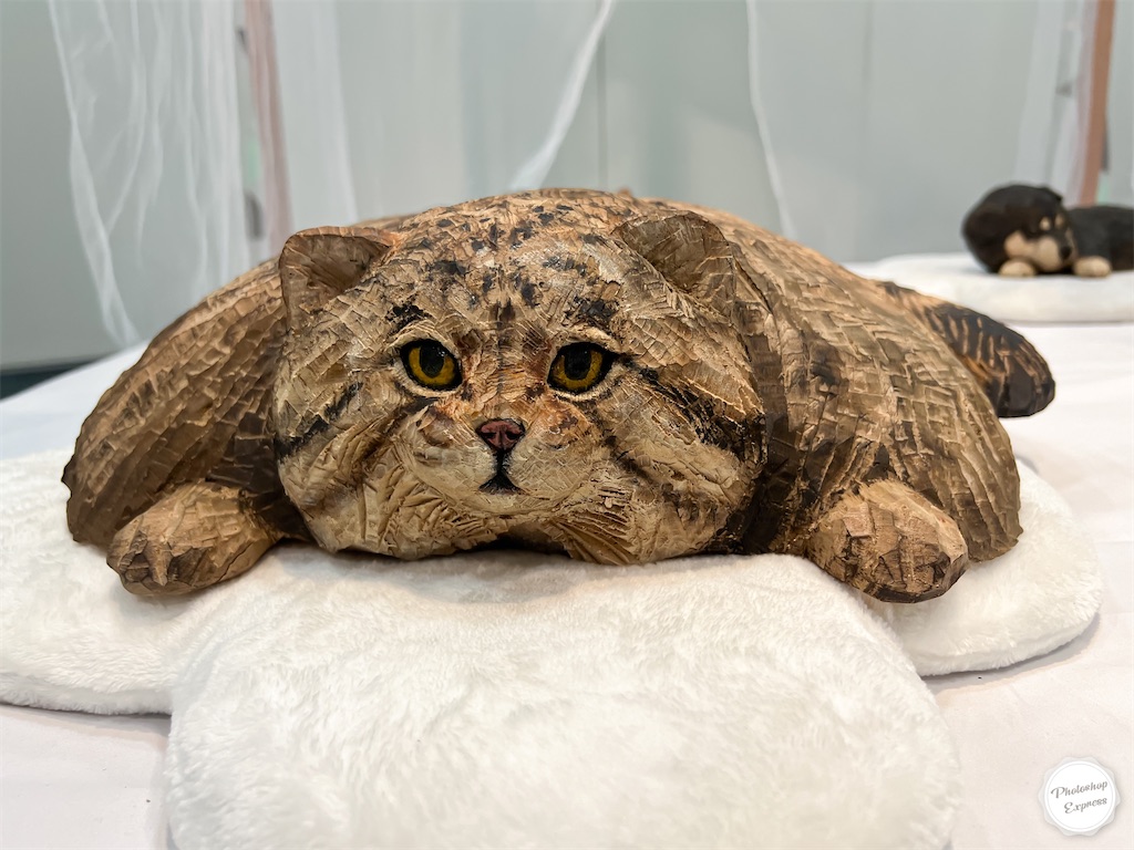 f:id:illust_and_meda0301:20220726073611j:image