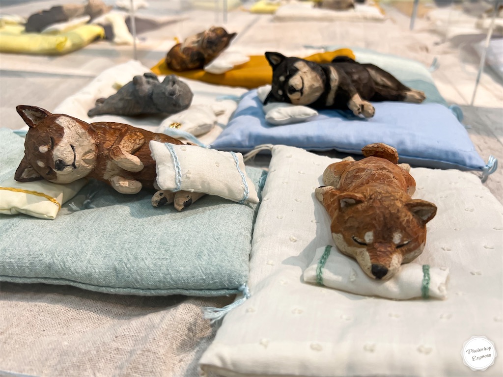 f:id:illust_and_meda0301:20220726074038j:image