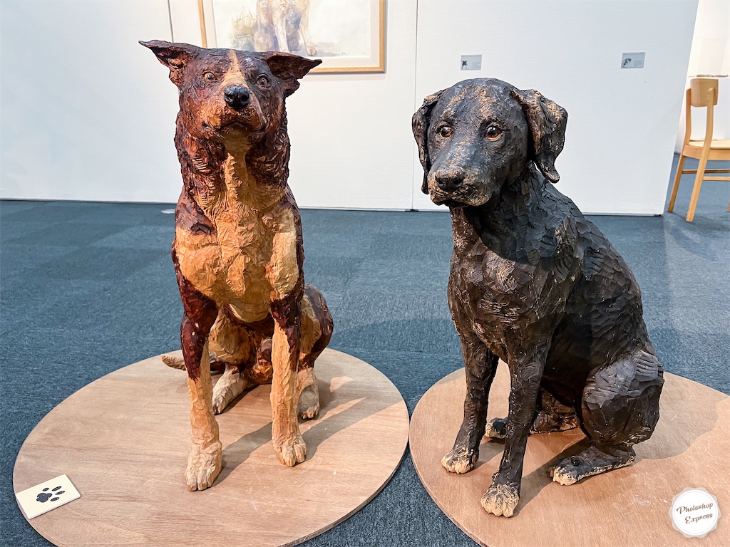 f:id:illust_and_meda0301:20220726074541j:image