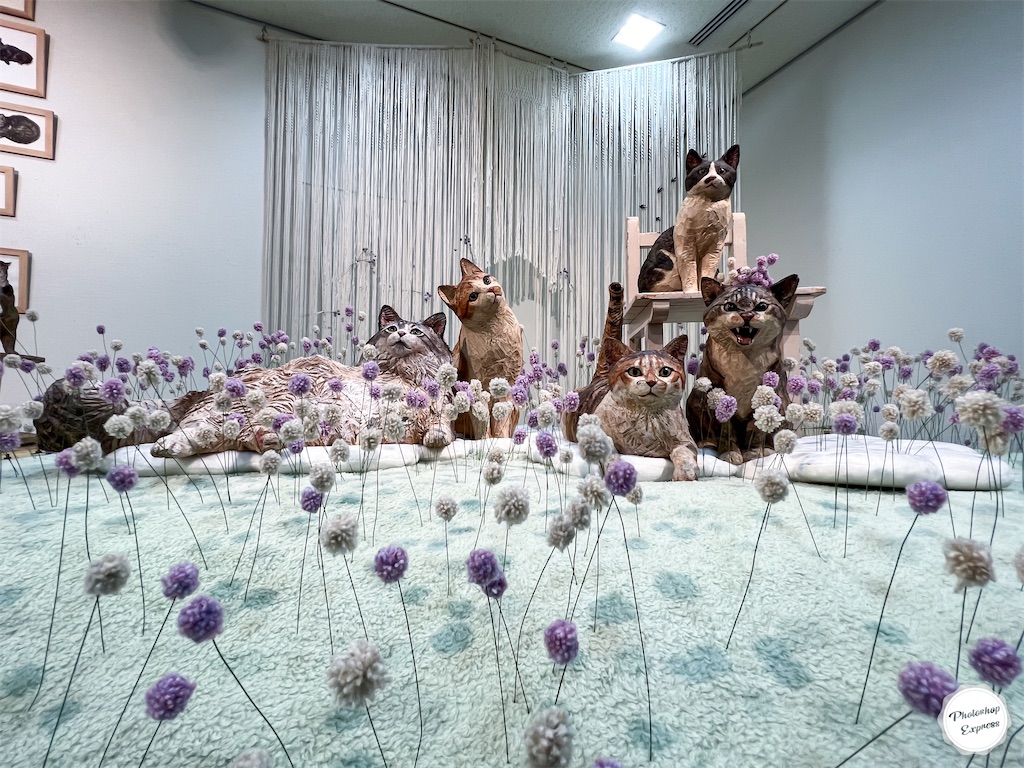 f:id:illust_and_meda0301:20220726080011j:image