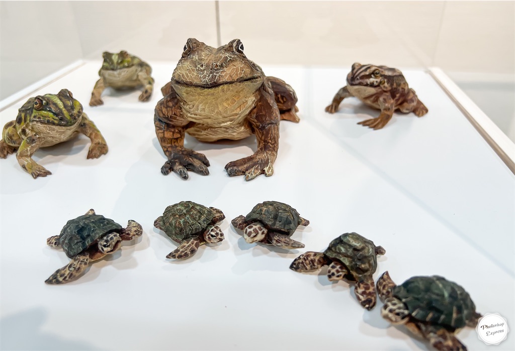 f:id:illust_and_meda0301:20220726080503j:image