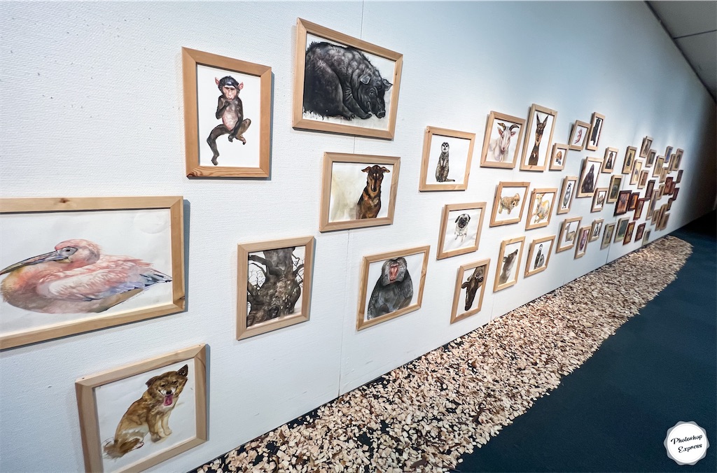 f:id:illust_and_meda0301:20220726080825j:image