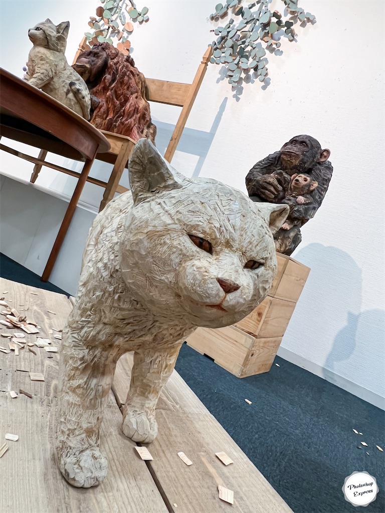 f:id:illust_and_meda0301:20220726080830j:image