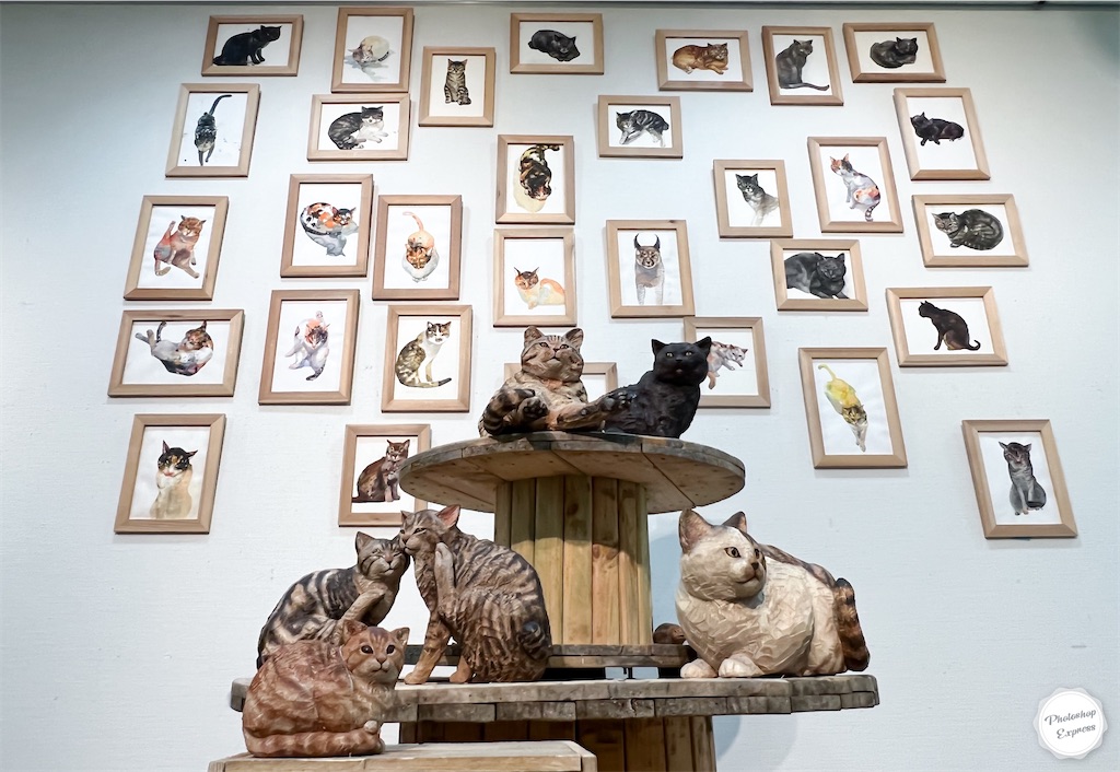 f:id:illust_and_meda0301:20220726080833j:image