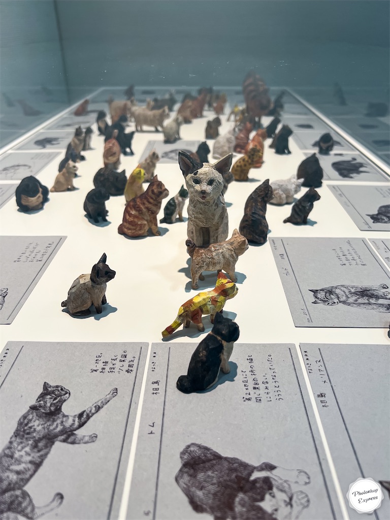 f:id:illust_and_meda0301:20220726091438j:image