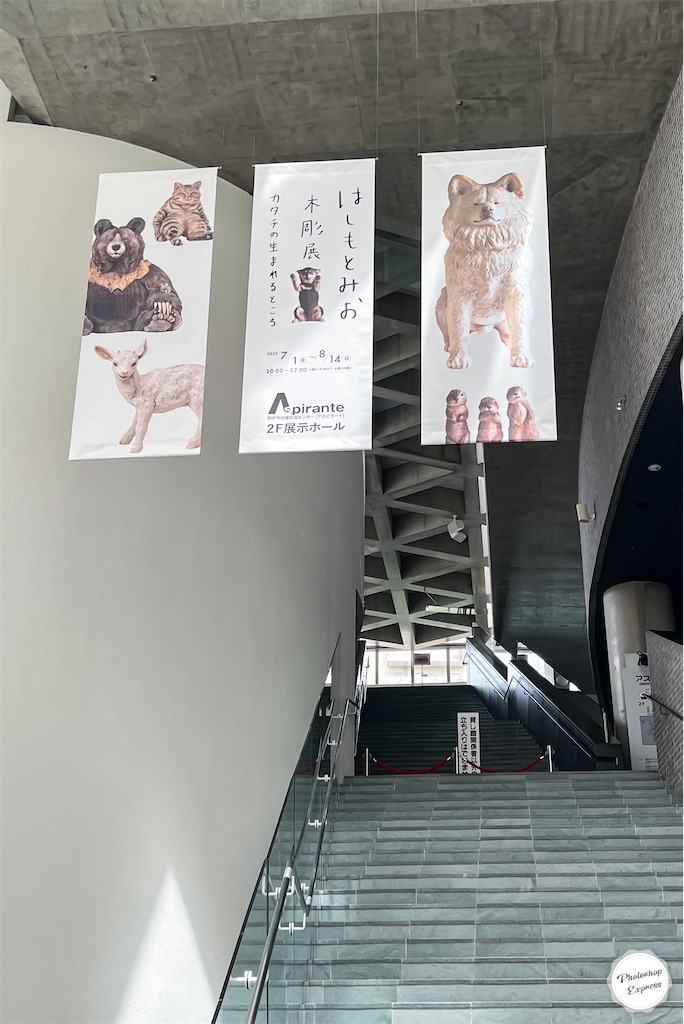 f:id:illust_and_meda0301:20220726214422j:image