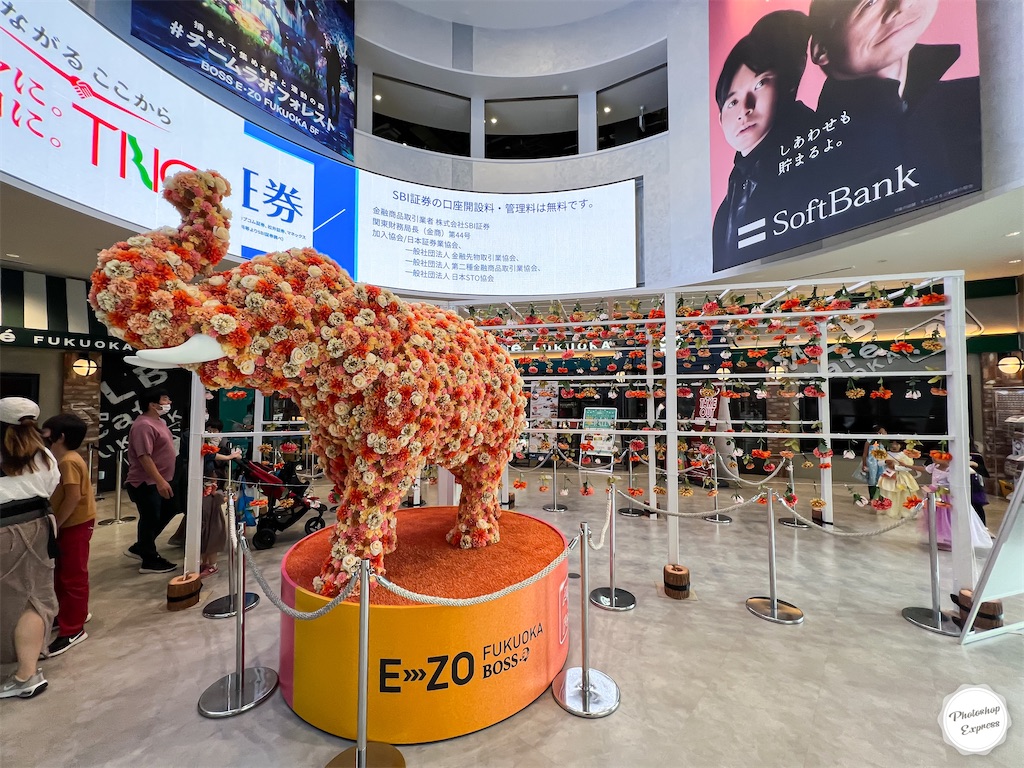 f:id:illust_and_meda0301:20221026082110j:image