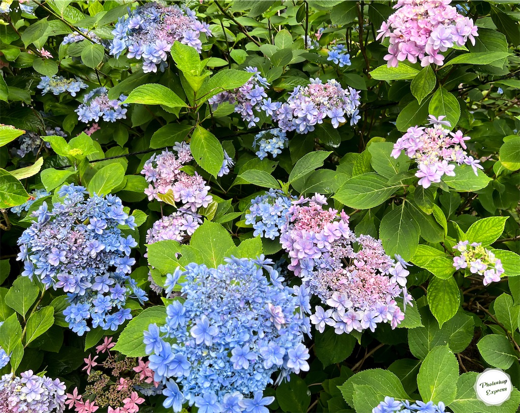 f:id:illust_and_meda0301:20230611215331j:image f:id:illust_and_meda0301:20230611215331j:image