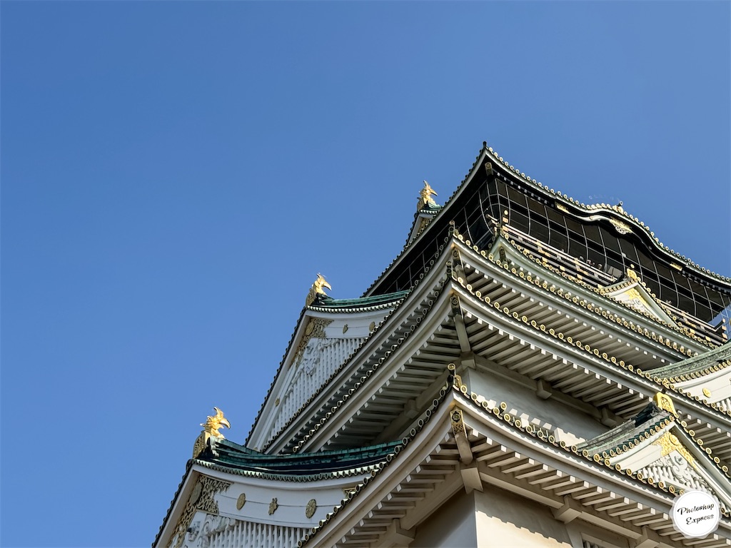 f:id:illust_and_meda0301:20240320102950j:image