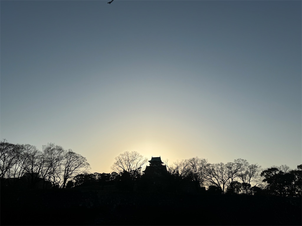 f:id:illust_and_meda0301:20240320103101j:image