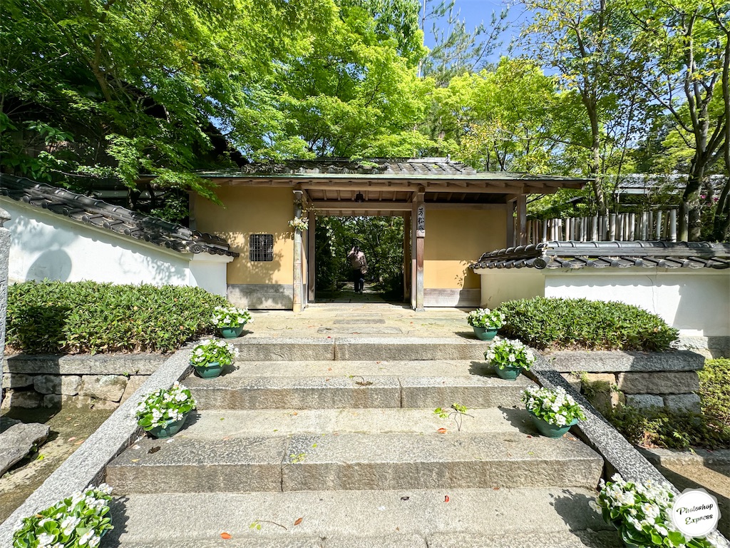 f:id:illust_and_meda0301:20240427084719j:image