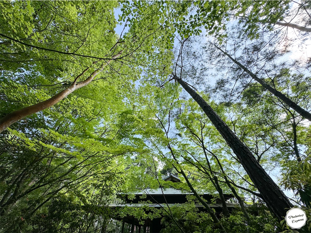 f:id:illust_and_meda0301:20240427084934j:image