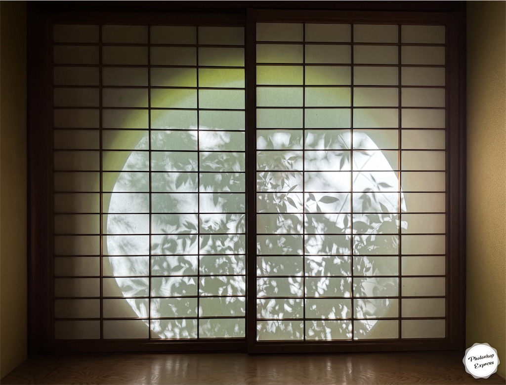 f:id:illust_and_meda0301:20240427085519j:image