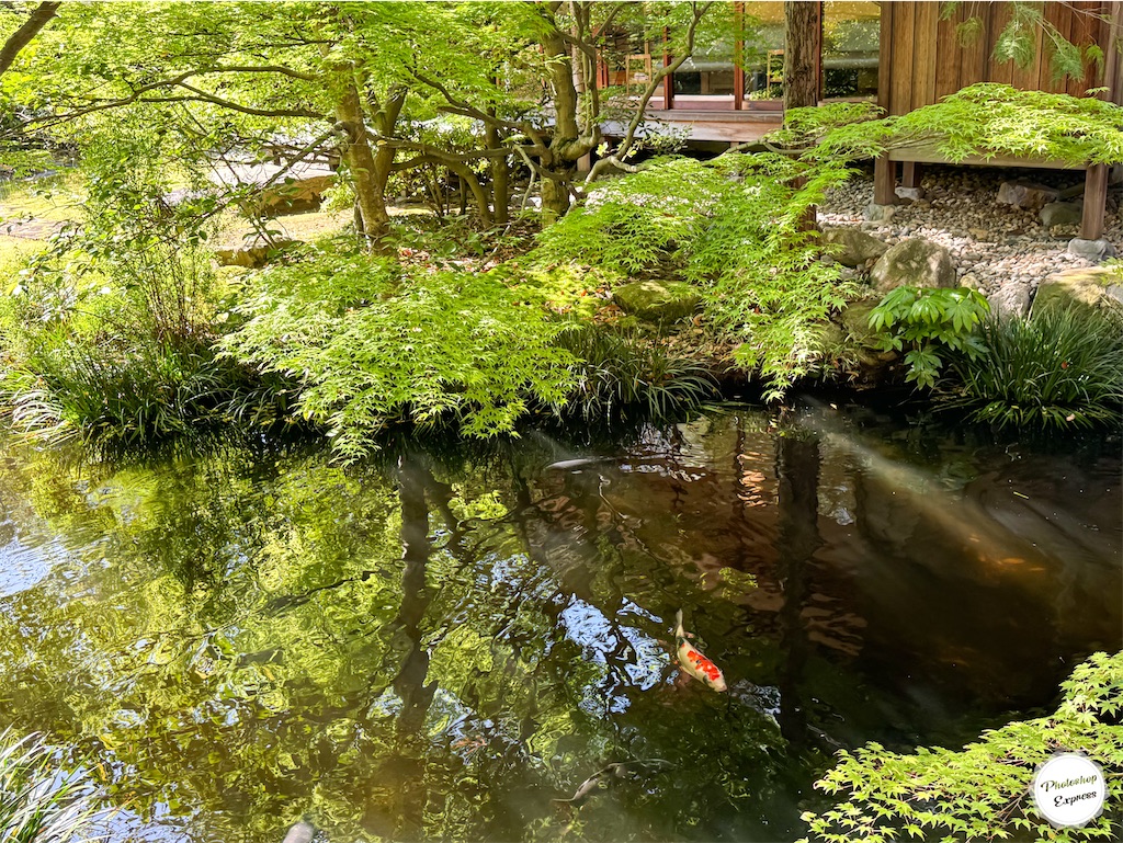 f:id:illust_and_meda0301:20240427085720j:image