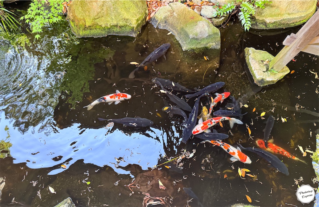 f:id:illust_and_meda0301:20240427085724j:image