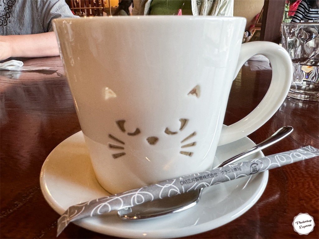 f:id:illust_and_meda0301:20240608195109j:image