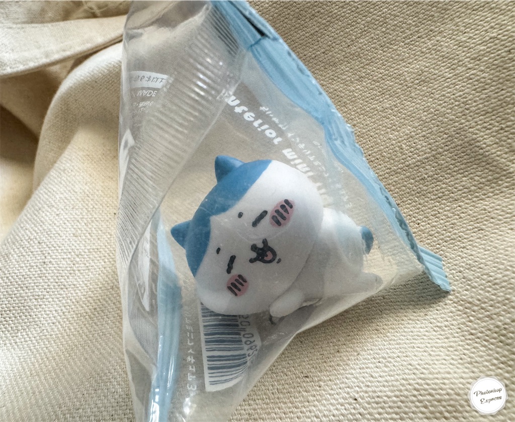 f:id:illust_and_meda0301:20240906074307j:image